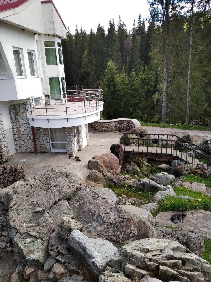 Vila Liliacul Stana de Vale Zewnętrze zdjęcie