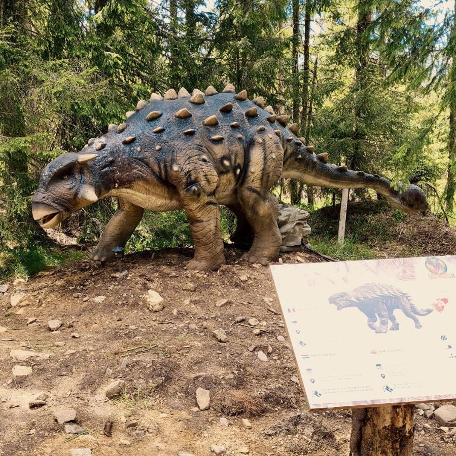 Vila Liliacul Stana de Vale Zewnętrze zdjęcie